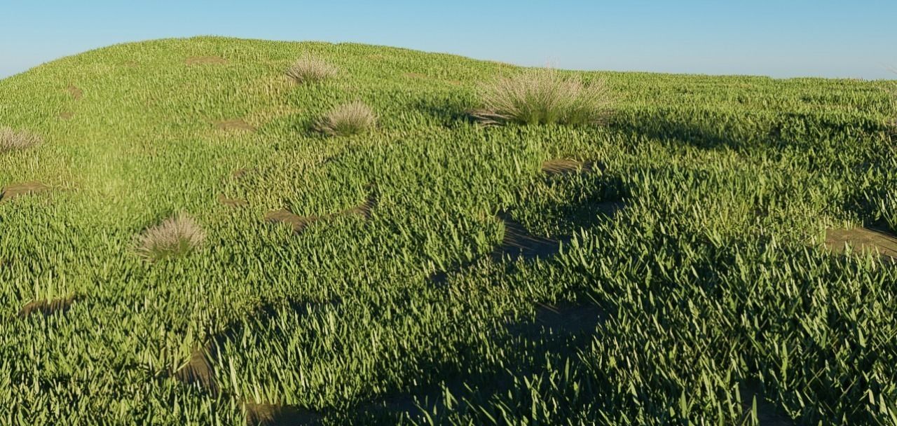 MOUNTAIN HOUSE WITH REALISTIC GRASS Low-poly 3D model_6