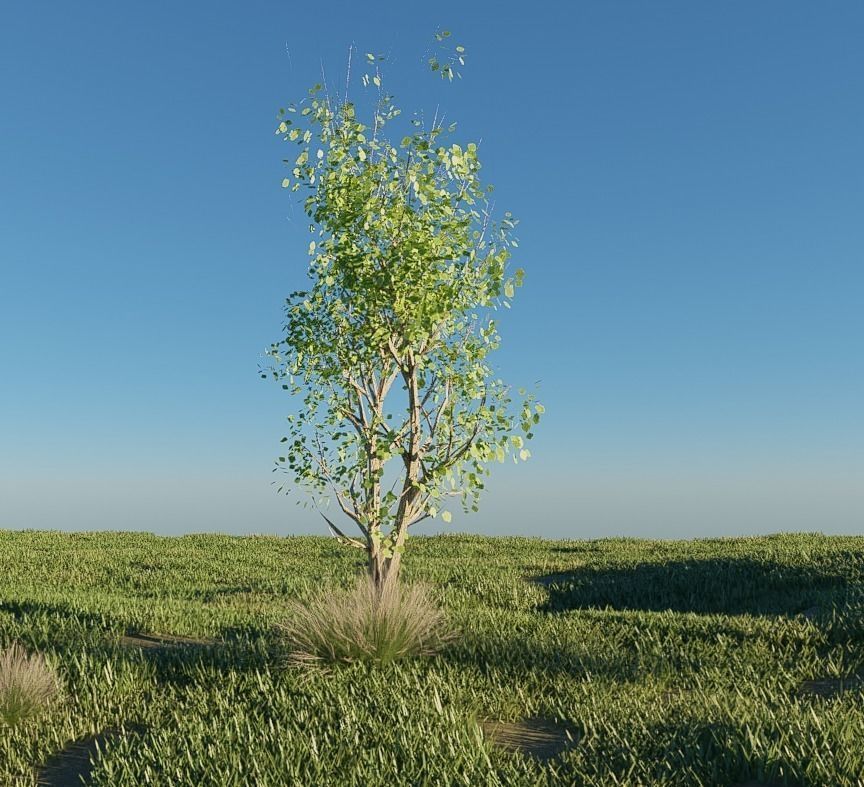 MOUNTAIN HOUSE WITH REALISTIC GRASS Low-poly 3D model_3