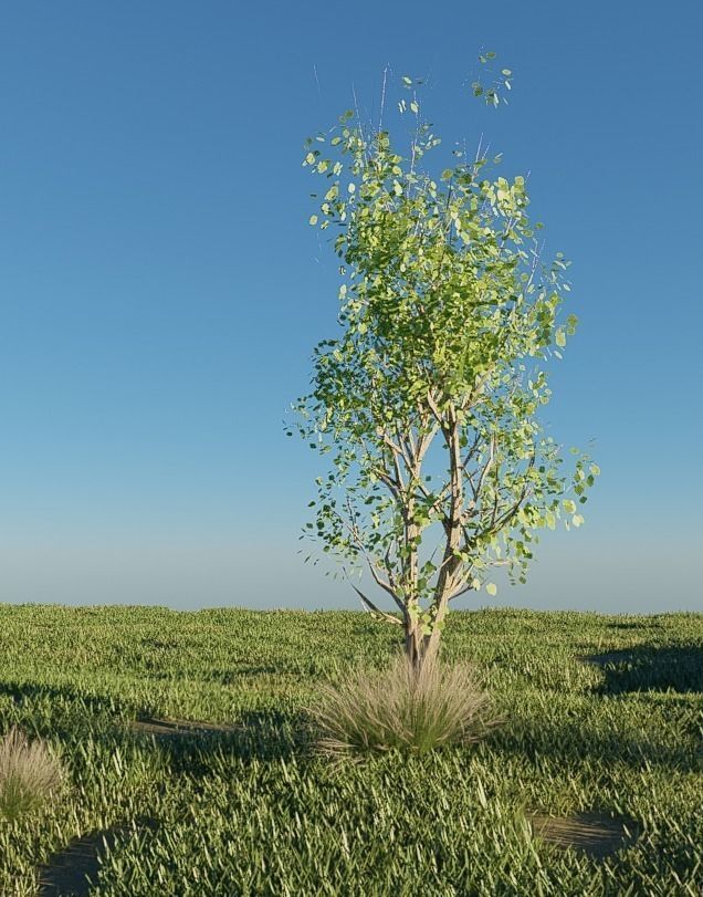 MOUNTAIN HOUSE WITH REALISTIC GRASS Low-poly 3D model_19