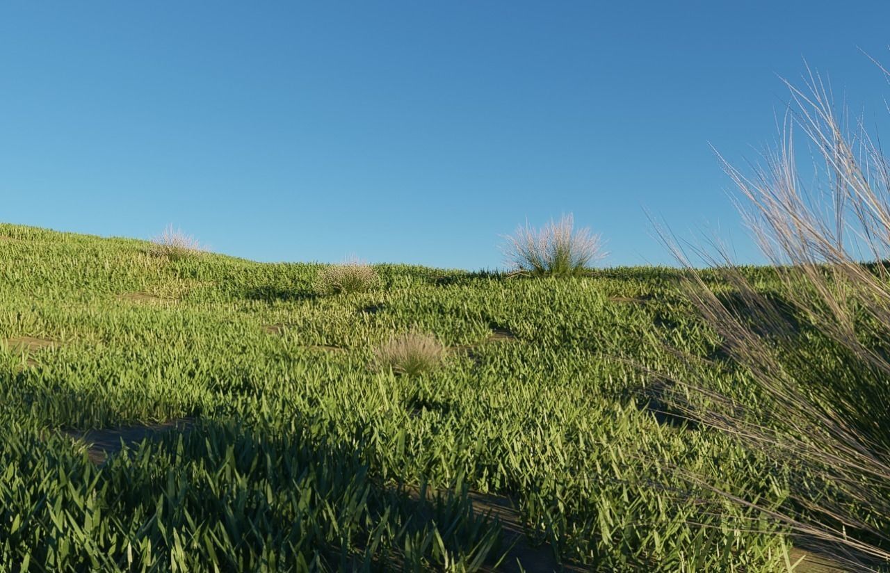 MOUNTAIN HOUSE WITH REALISTIC GRASS Low-poly 3D model_5