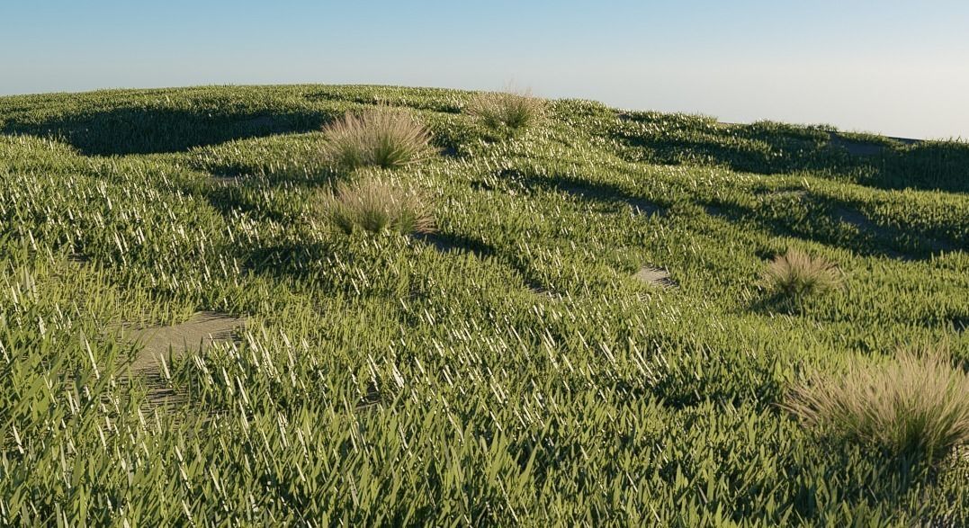 MOUNTAIN HOUSE WITH REALISTIC GRASS Low-poly 3D model_4