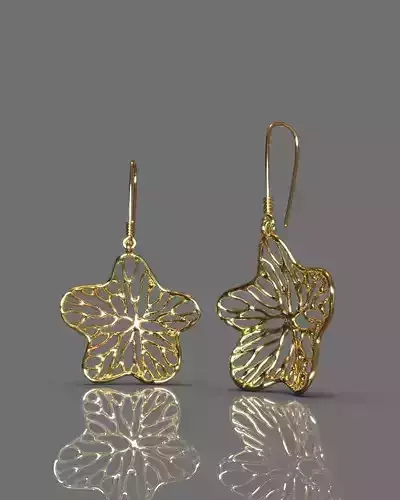 Fashion earrings 3D print model