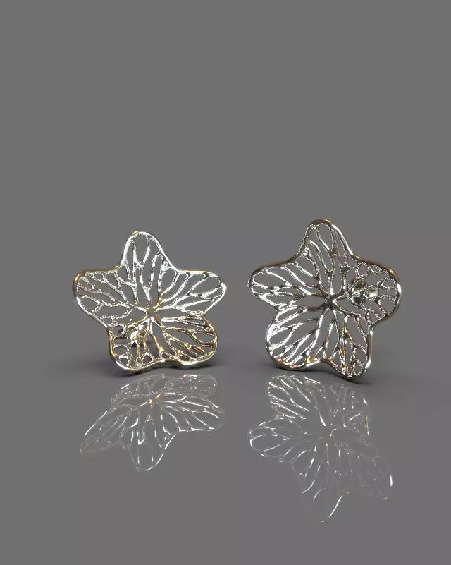 Fashion earrings 3D print model