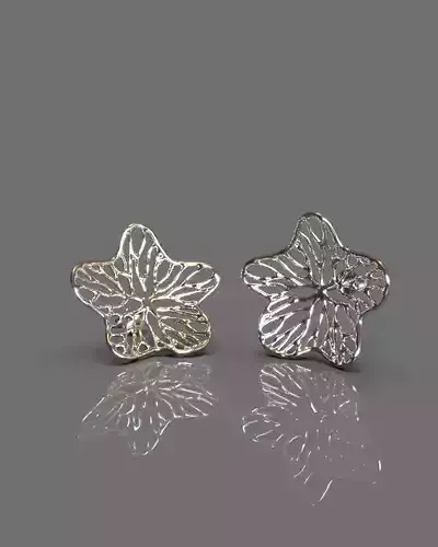 Fashion earrings 3D print model