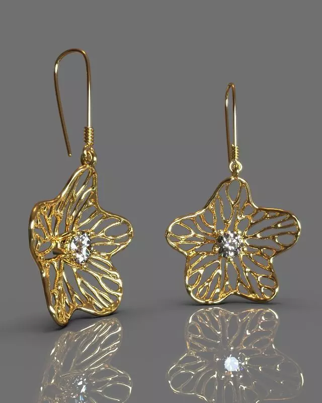 Fashion earrings 3D print model