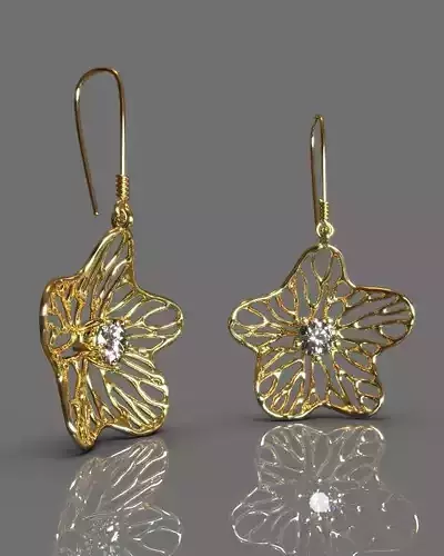 Fashion earrings