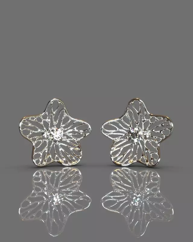 Fashion earrings 3D print model_0