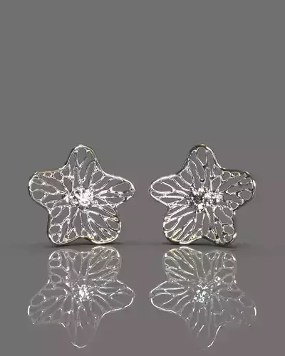 Fashion earrings 3D print model