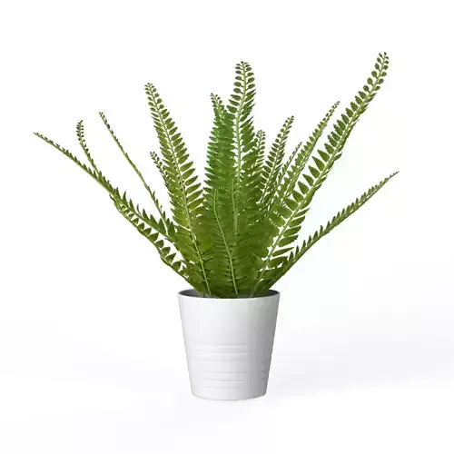 Fejka Fern Houseplant
