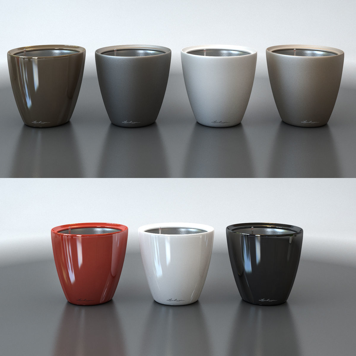 Zamiokulkas plant 3D model_3