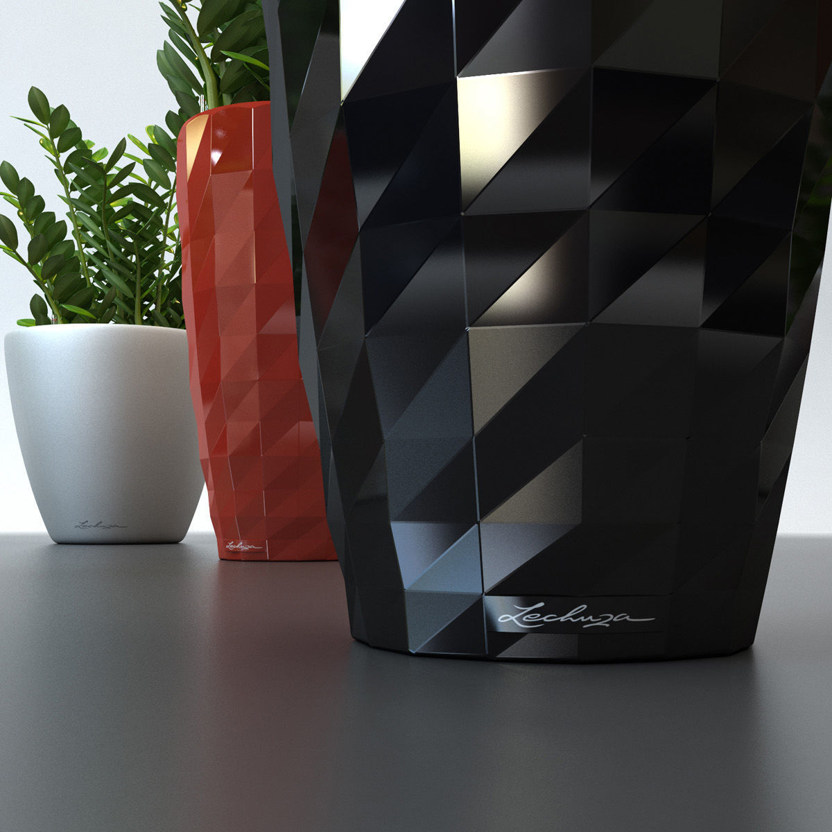 Zamiokulkas plant 3D model_2