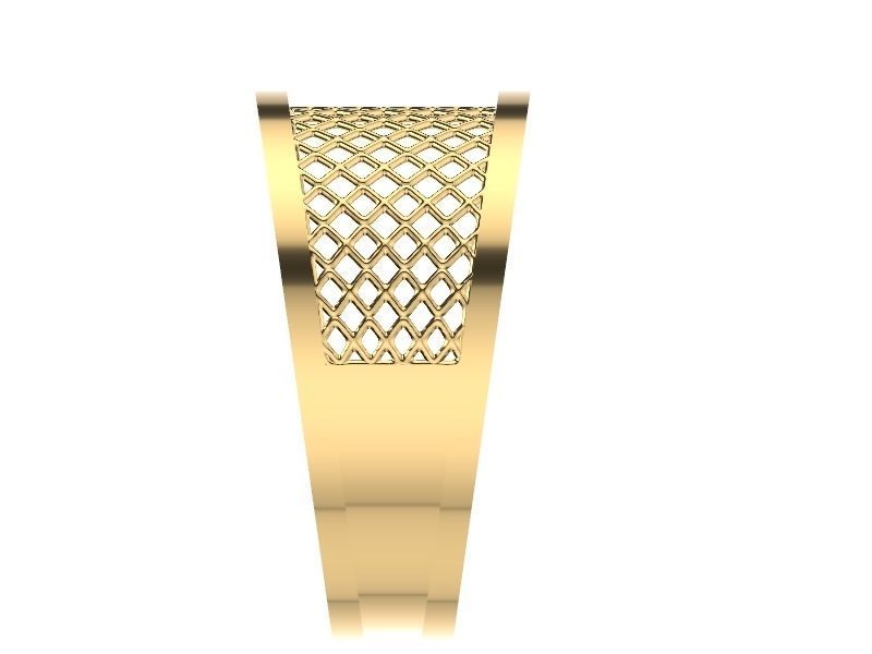 15 CONTEMPORARY JALI RINGS STL VERIFIED 3D print model_20