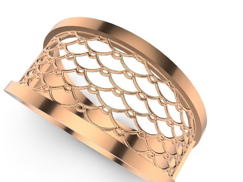 15 CONTEMPORARY JALI RINGS STL VERIFIED 3D print model_45