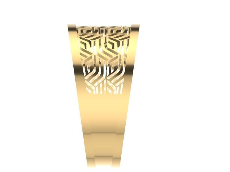 15 CONTEMPORARY JALI RINGS STL VERIFIED 3D print model_6