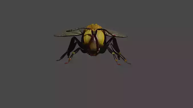 Bee Model