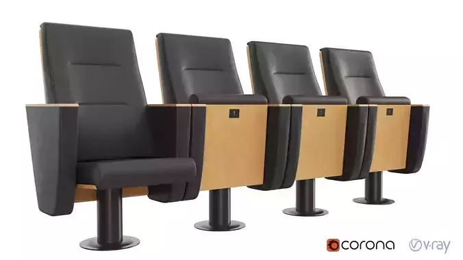 Auditorium Seating 3D model