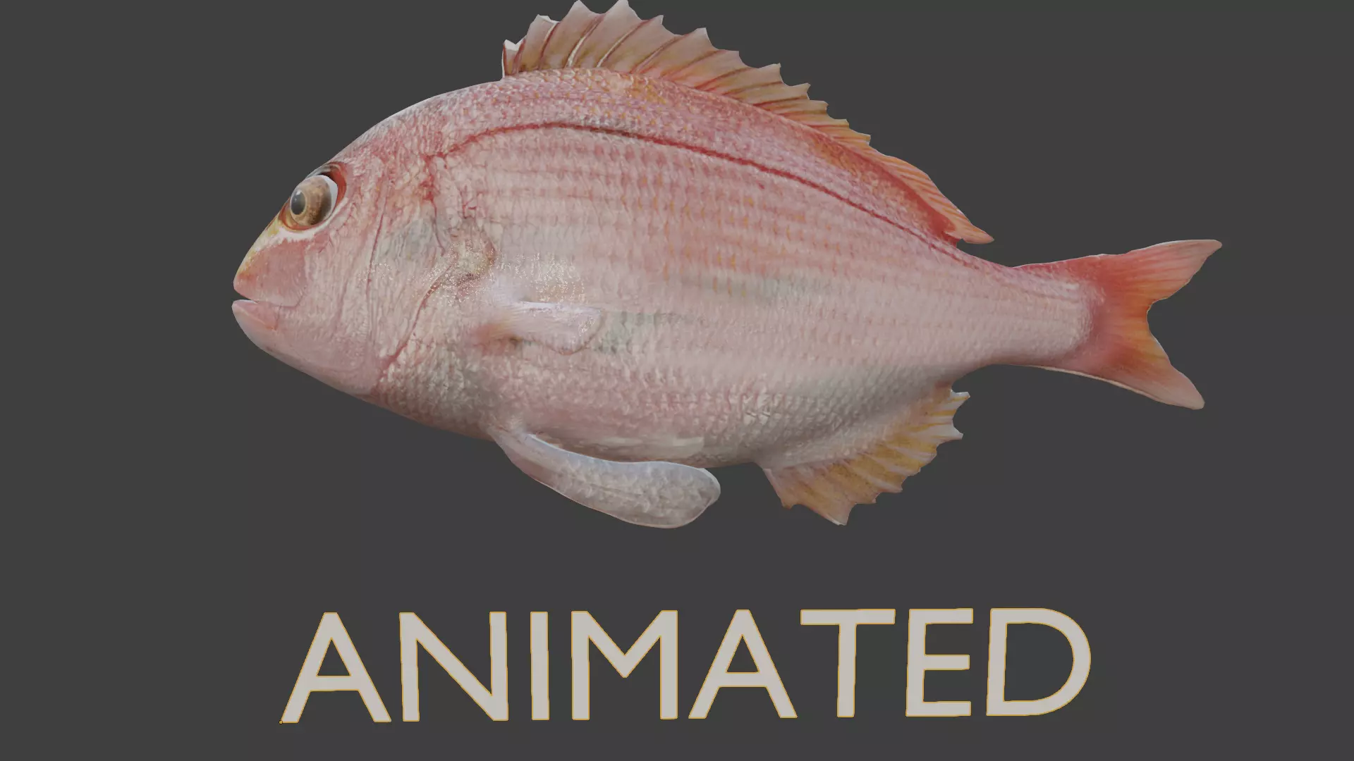 carp fish Low-poly 3D model_0