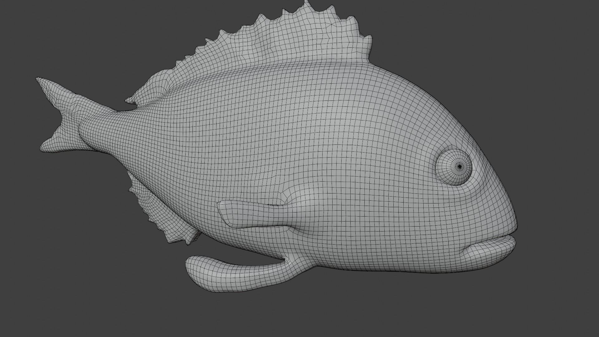 carp fish Low-poly 3D model_8