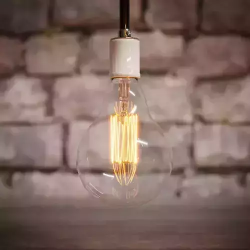 Big Round Edison Bulb  