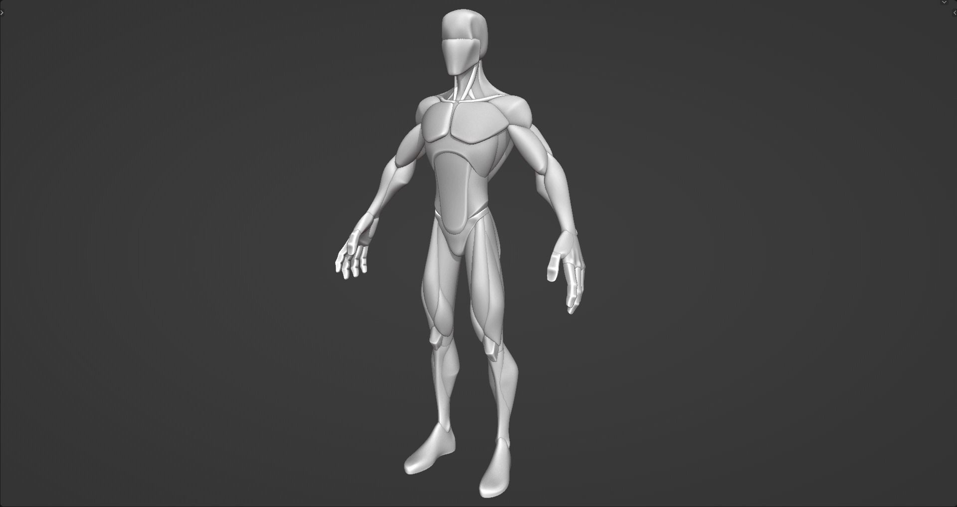 Stylized Male Anatomy Blockout V2 3D model_10
