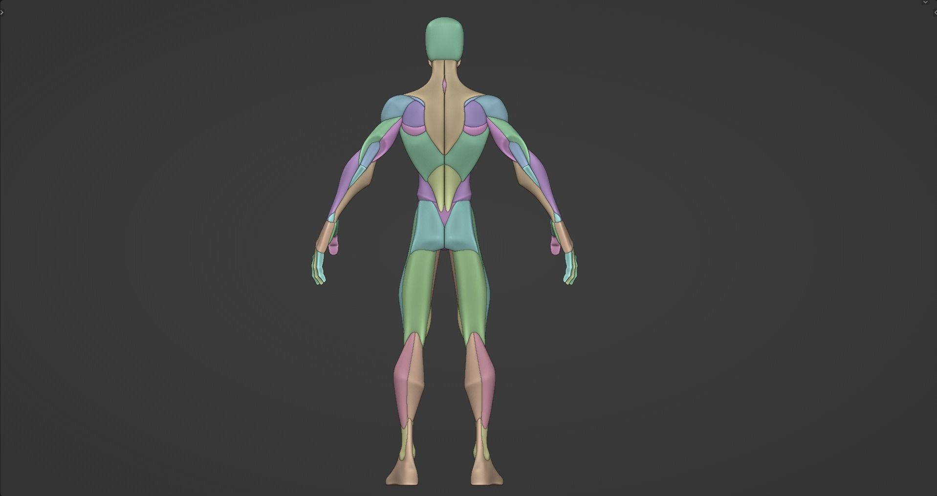 Stylized Male Anatomy Blockout V2 3D model_4