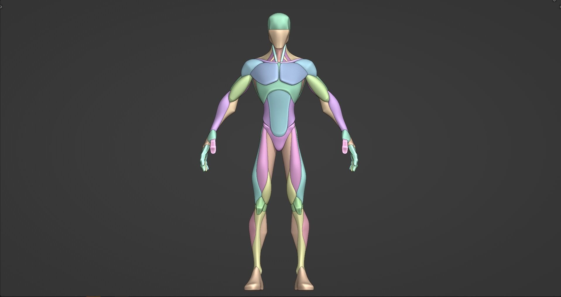 Stylized Male Anatomy Blockout V2 3D model_2