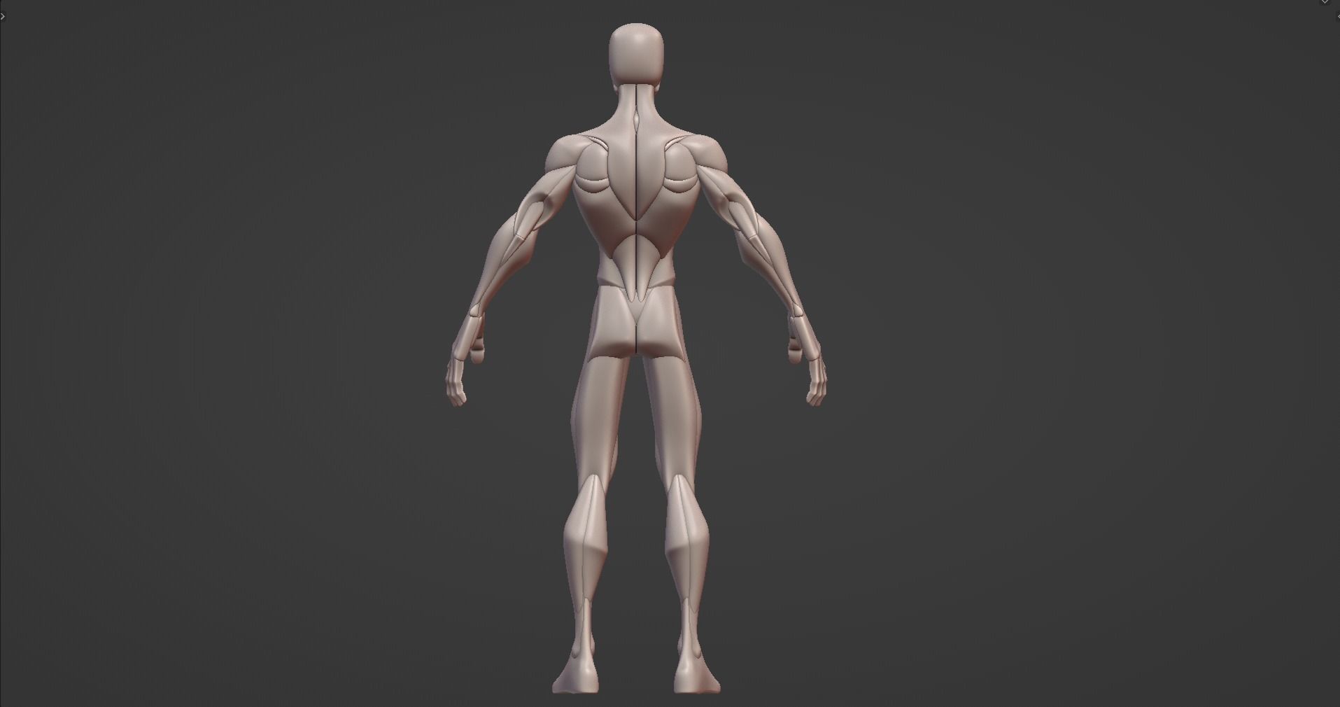 Stylized Male Anatomy Blockout V2 3D model_9
