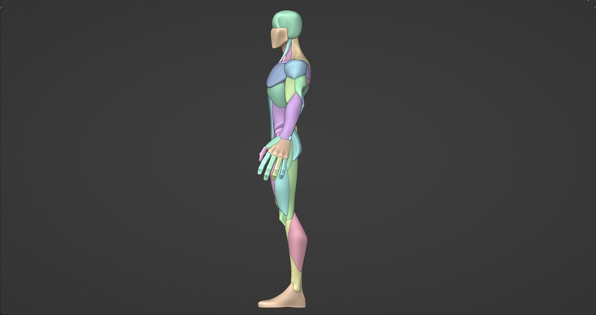 Stylized Male Anatomy Blockout V2 3D model_3