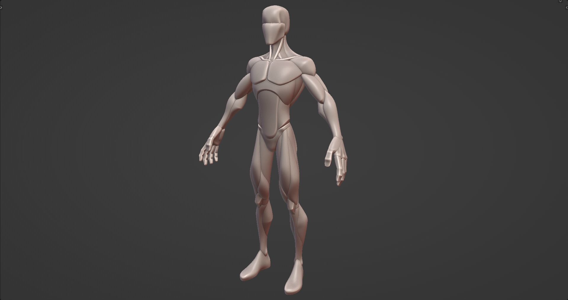Stylized Male Anatomy Blockout V2 3D model_5
