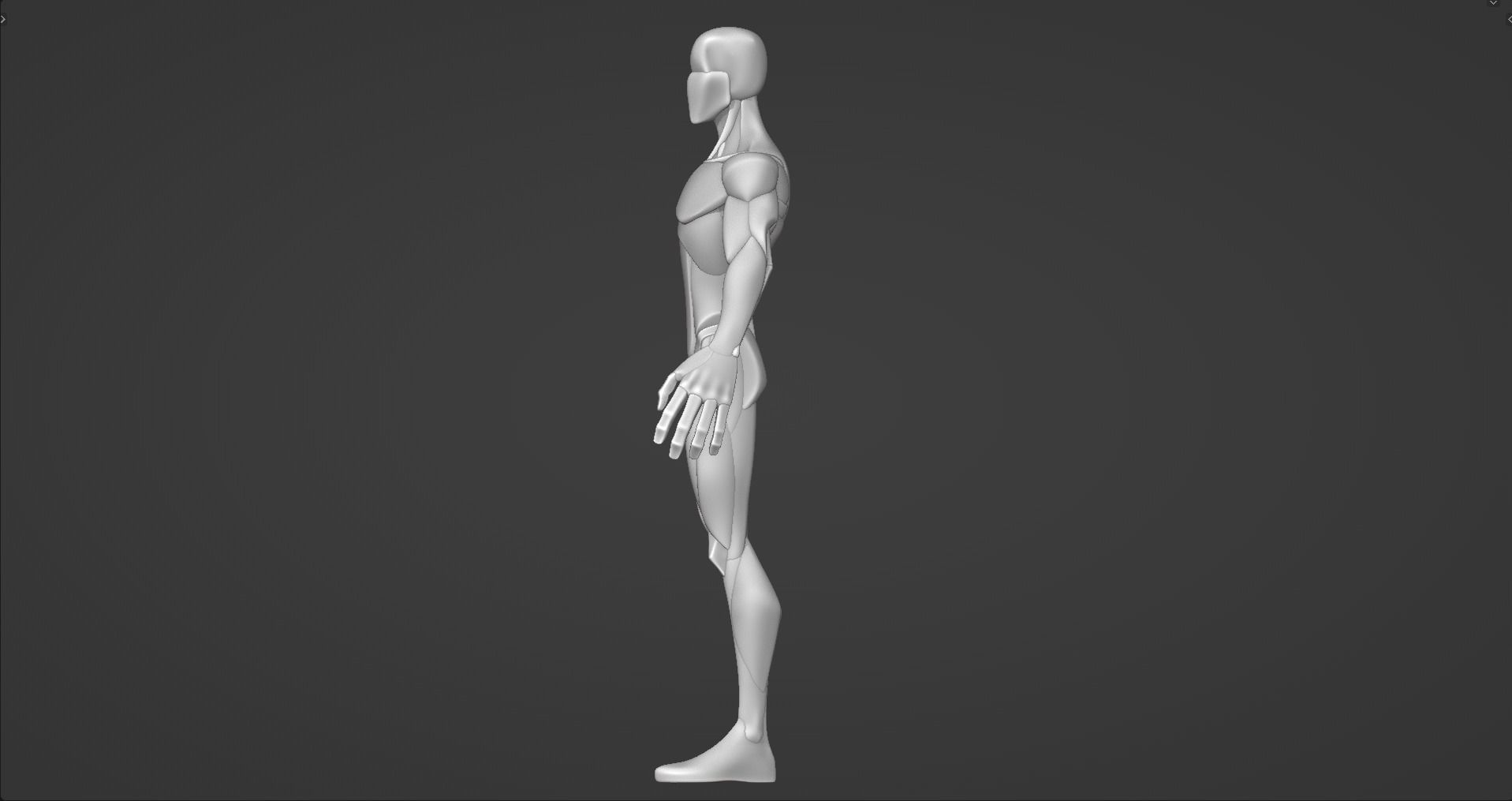 Stylized Male Anatomy Blockout V2 3D model_13