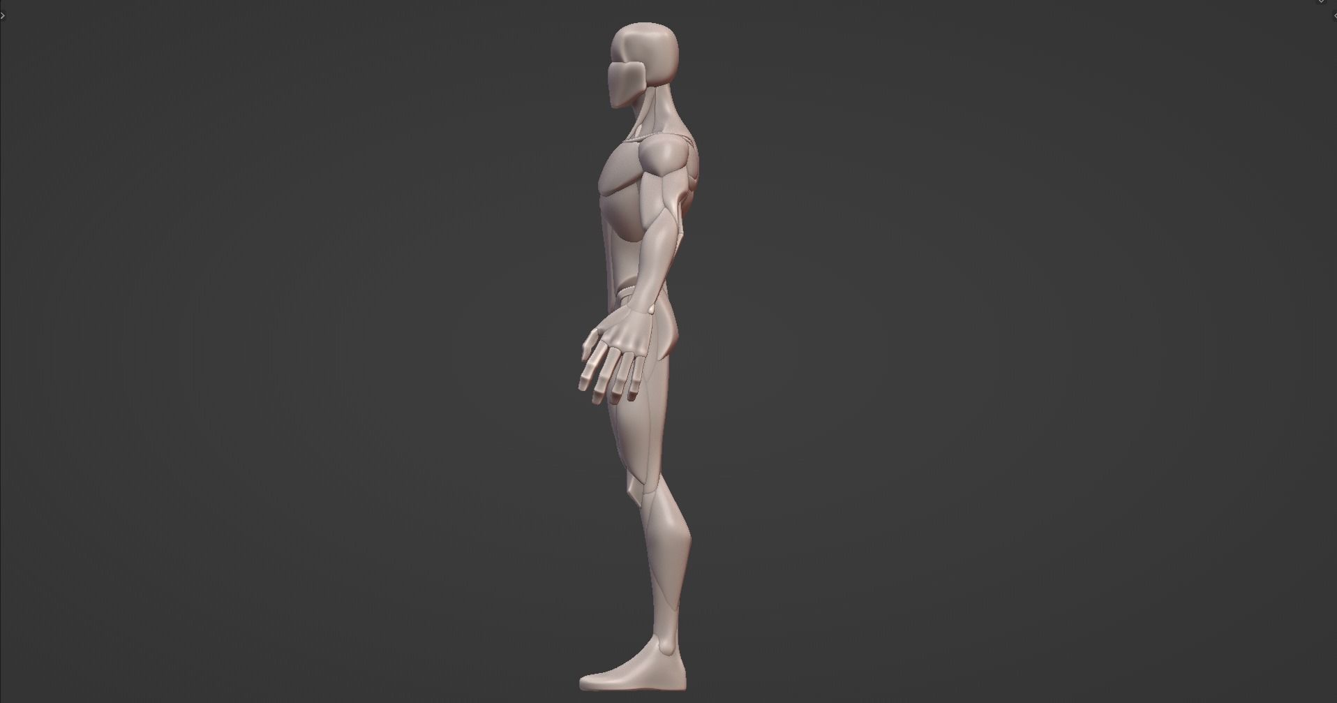 Stylized Male Anatomy Blockout V2 3D model_8