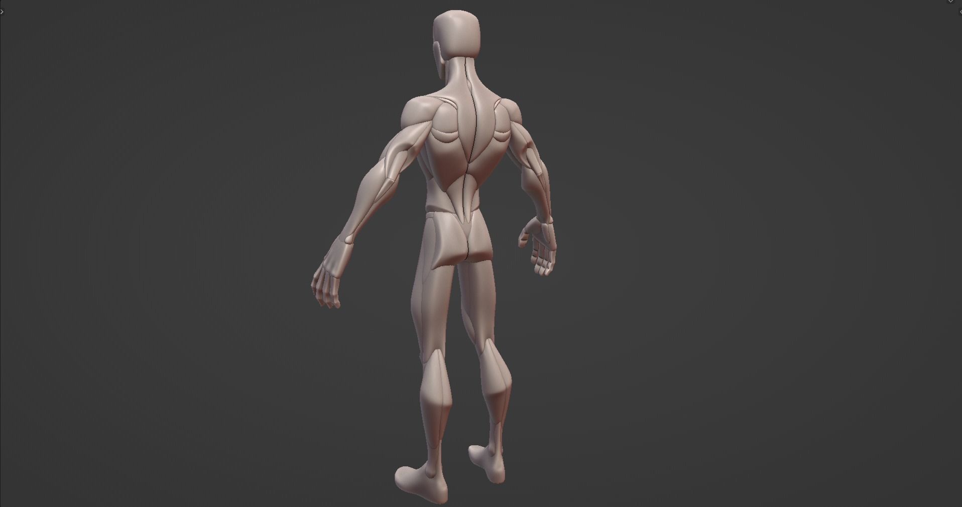Stylized Male Anatomy Blockout V2 3D model_6