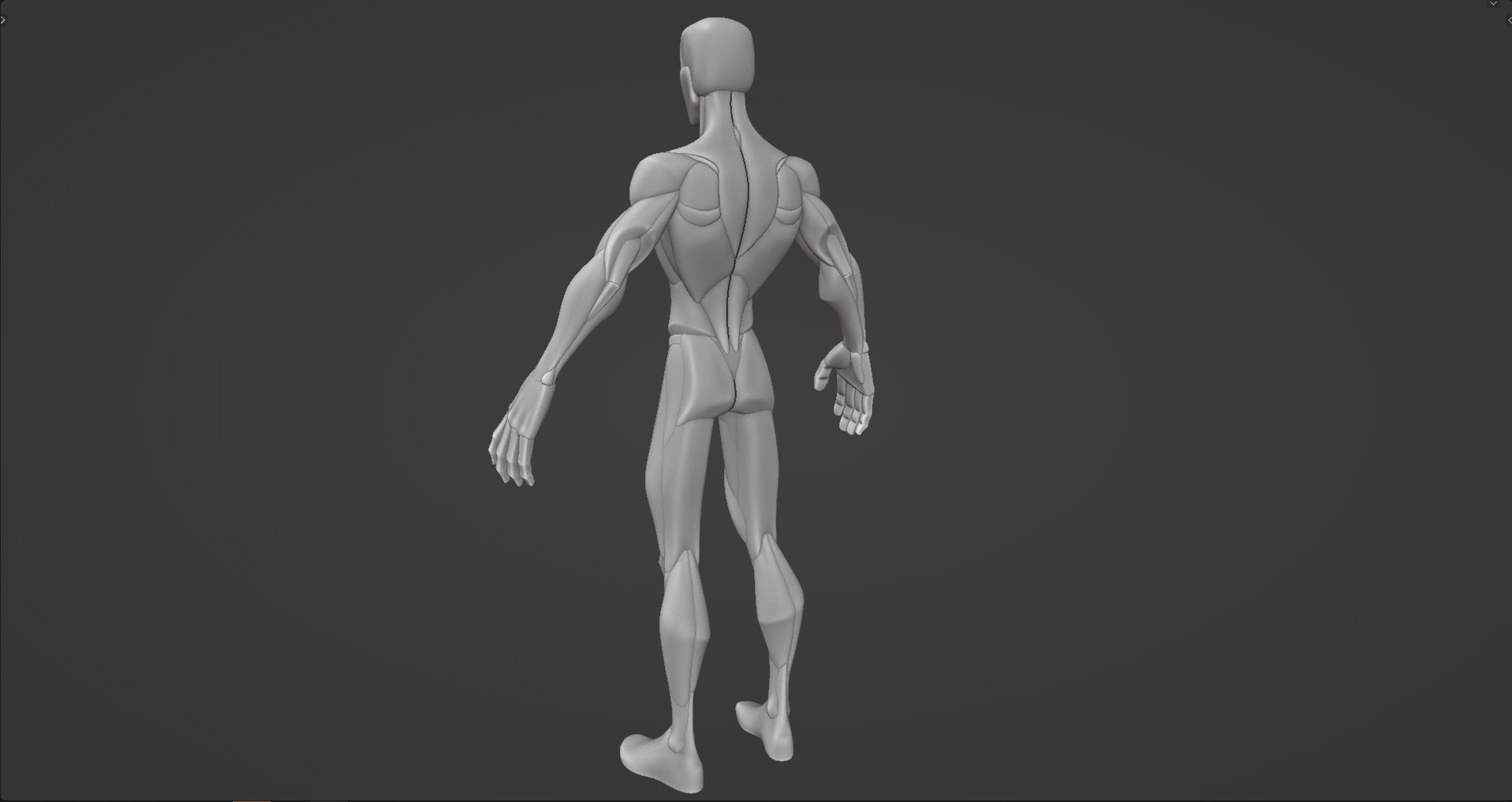 Stylized Male Anatomy Blockout V2 3D model_11