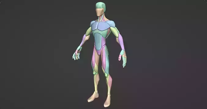 Stylized Male Anatomy Blockout V2 3D model Stylized Male Anatomy Blockout V2 3D model