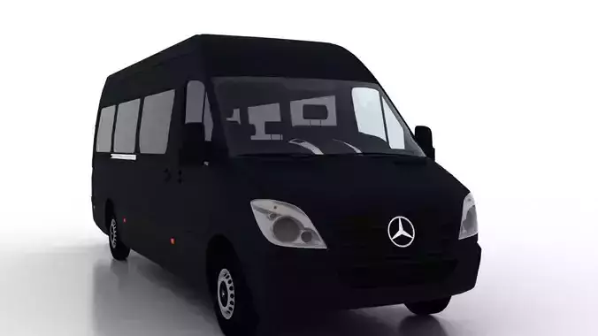 Mercedes Benz Sprinter L3H2 2009 Passenger EU