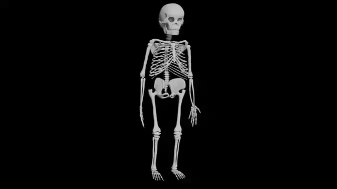 Child skeleton