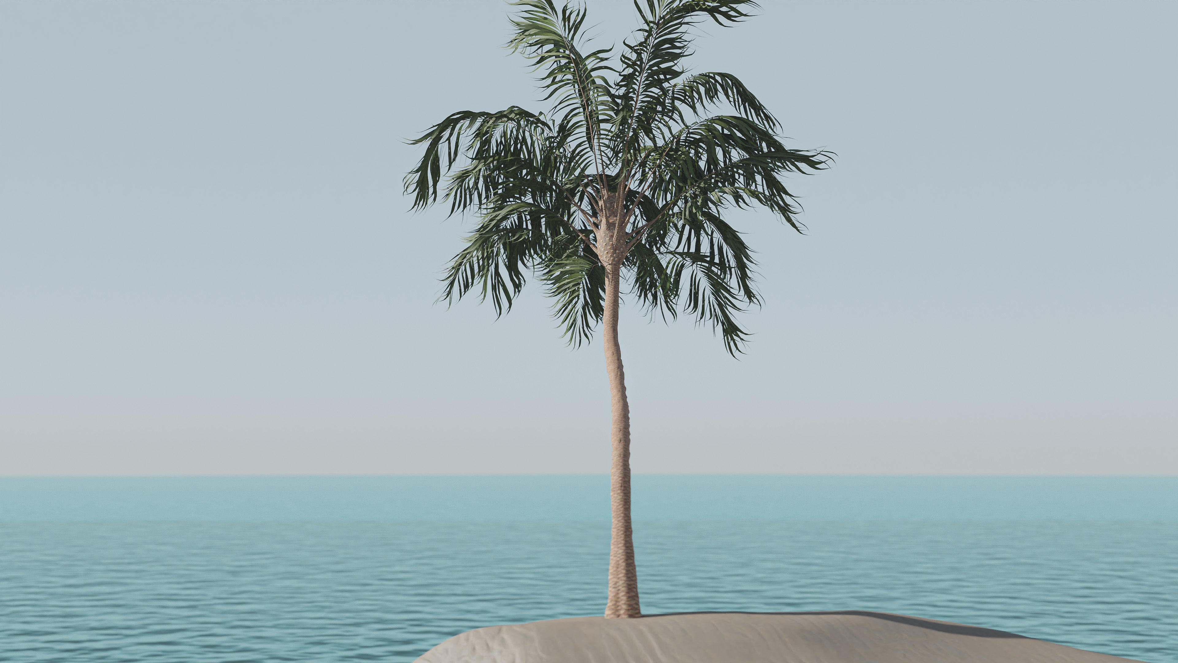 Palm Tree Hanging 3D model_2