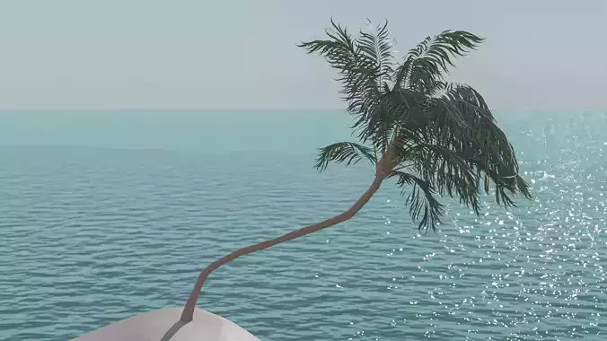 Palm Tree Hanging