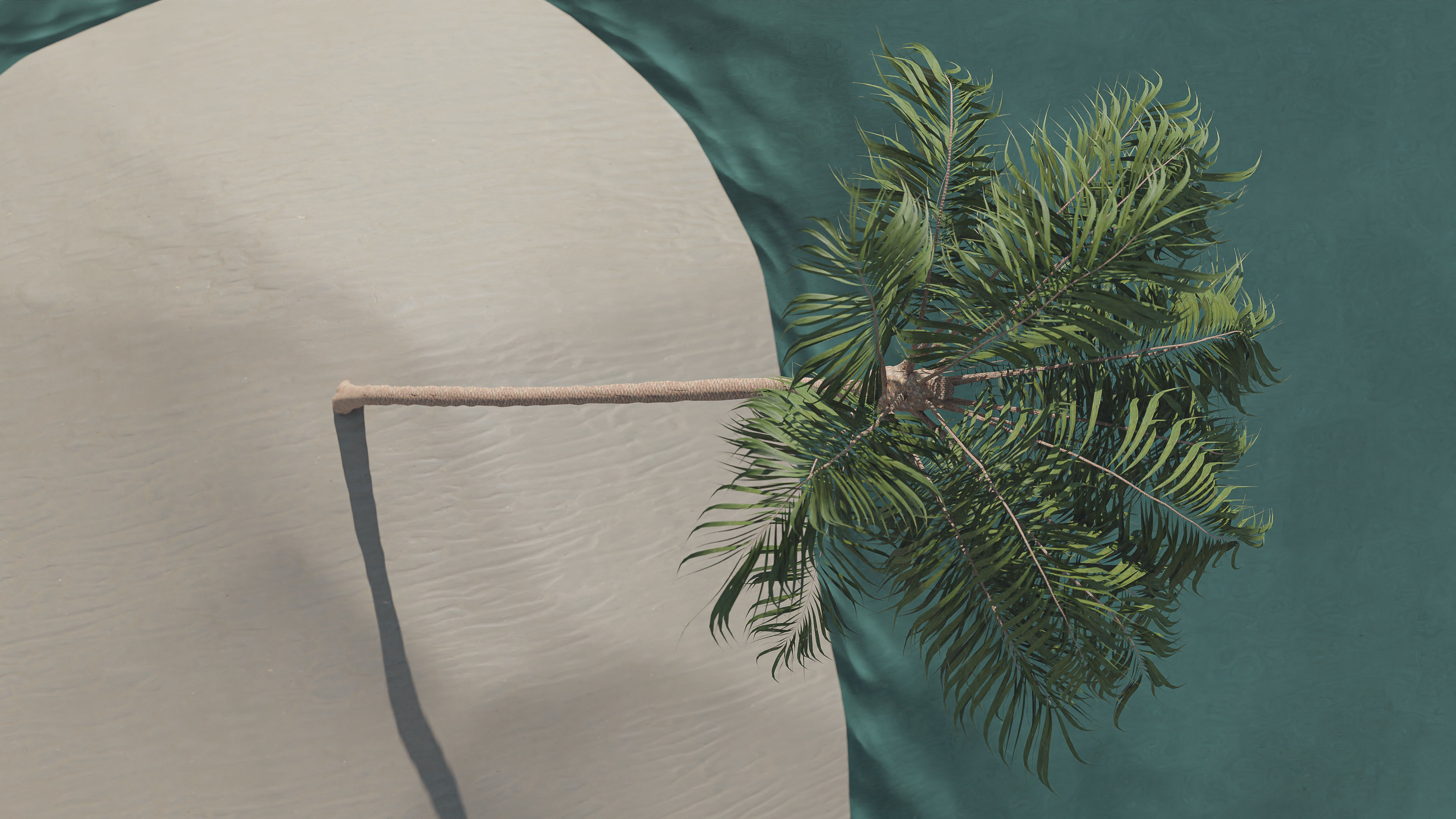 Palm Tree Hanging 3D model_1
