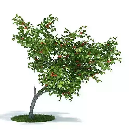 Realistic Artificial Tree