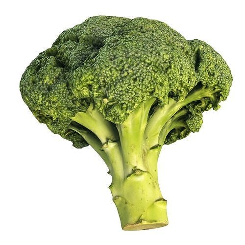 4k  scanned broccoli 3D model