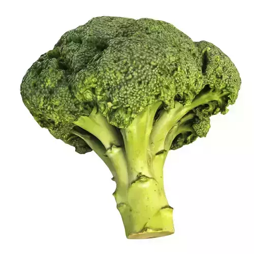 4k  scanned broccoli 3D model
