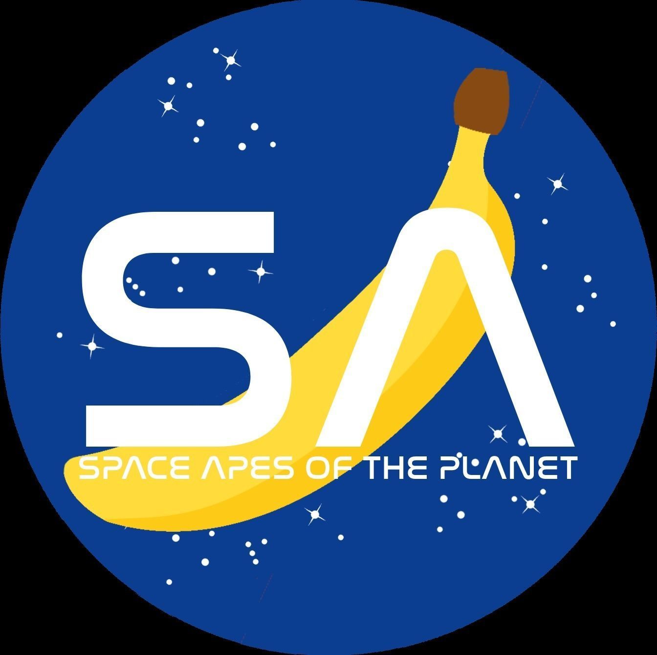 NFT Ape Collection _4