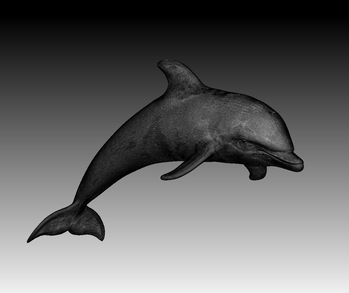 Dolphin 3D print model_10