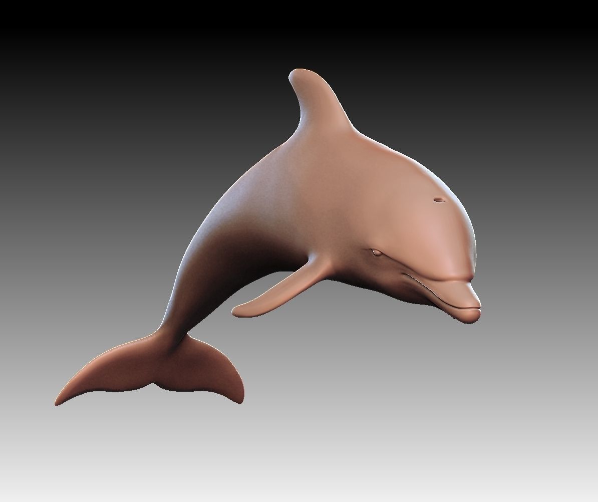 Dolphin 3D print model_9