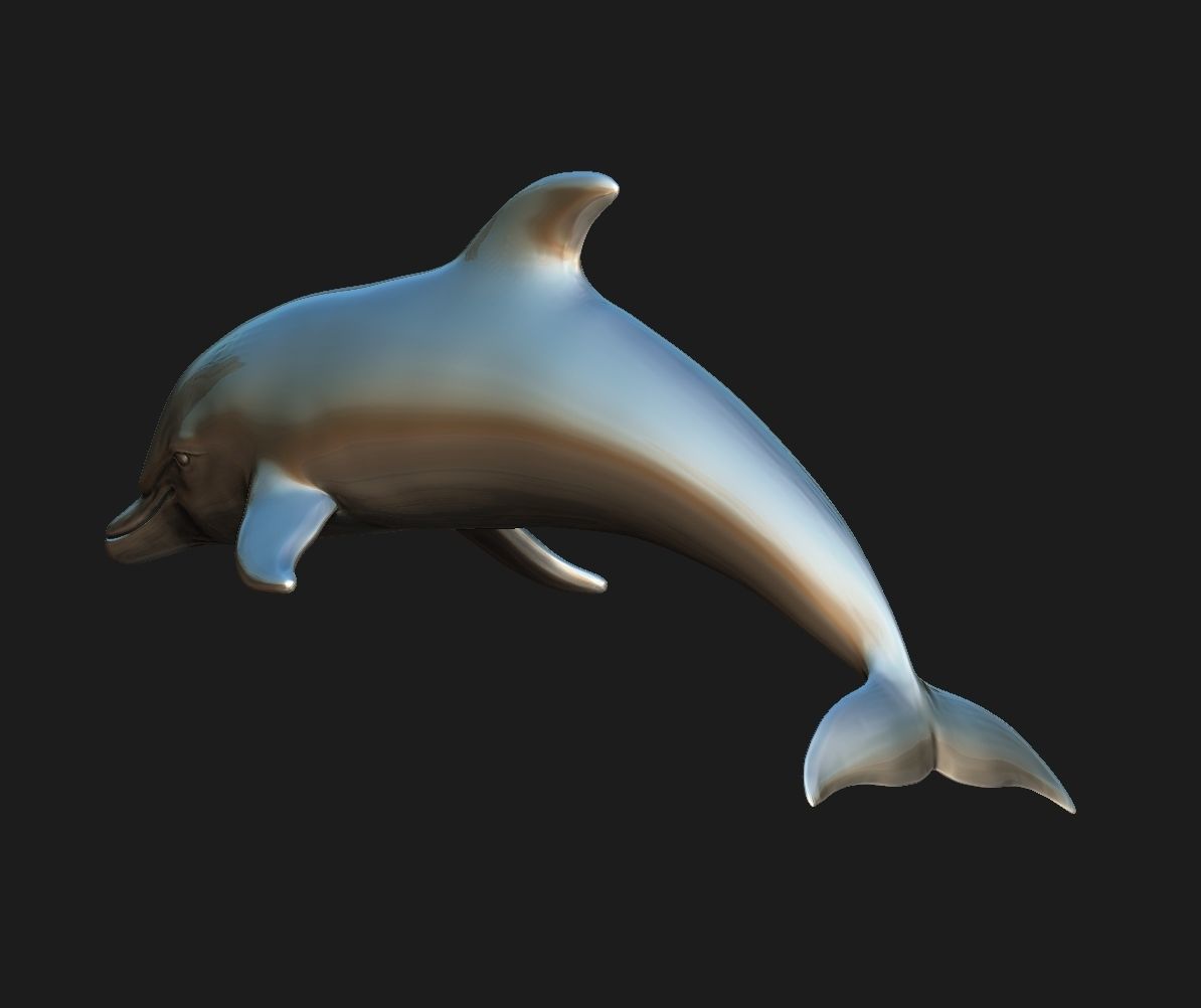 Dolphin 3D print model_3