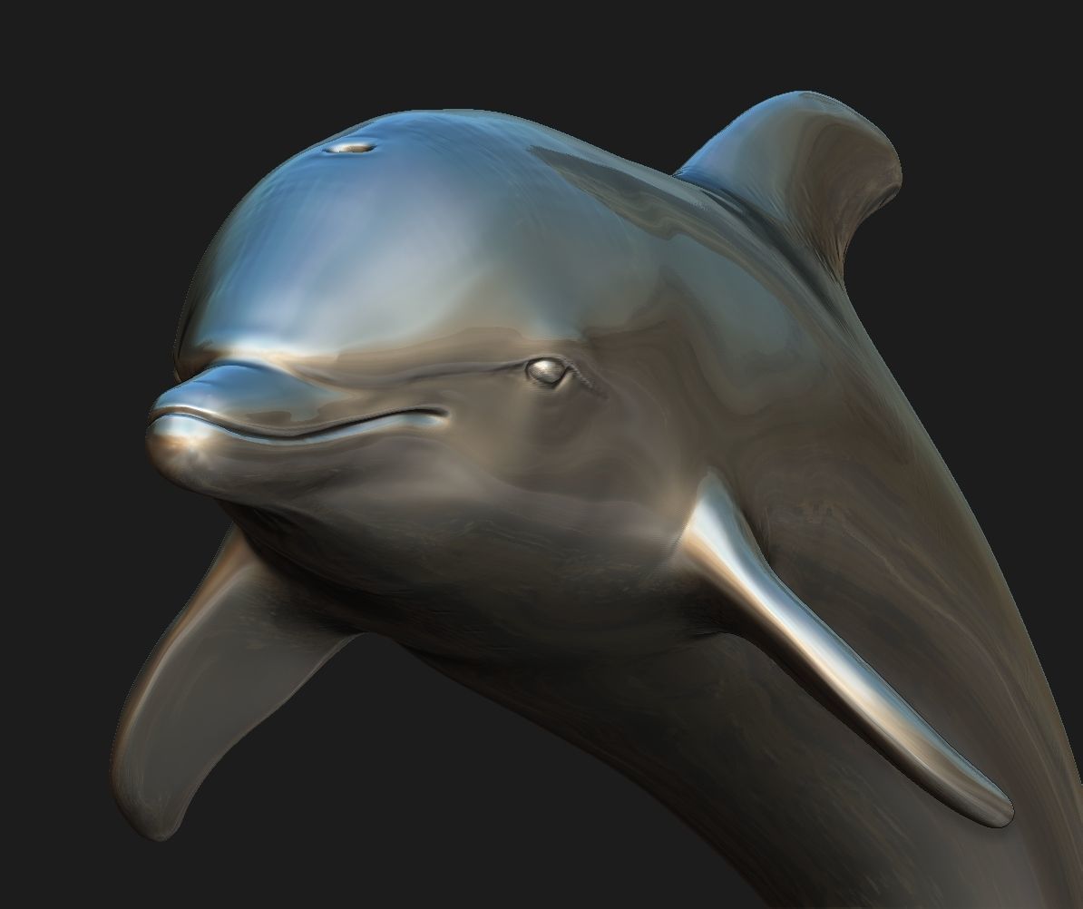 Dolphin 3D print model_2