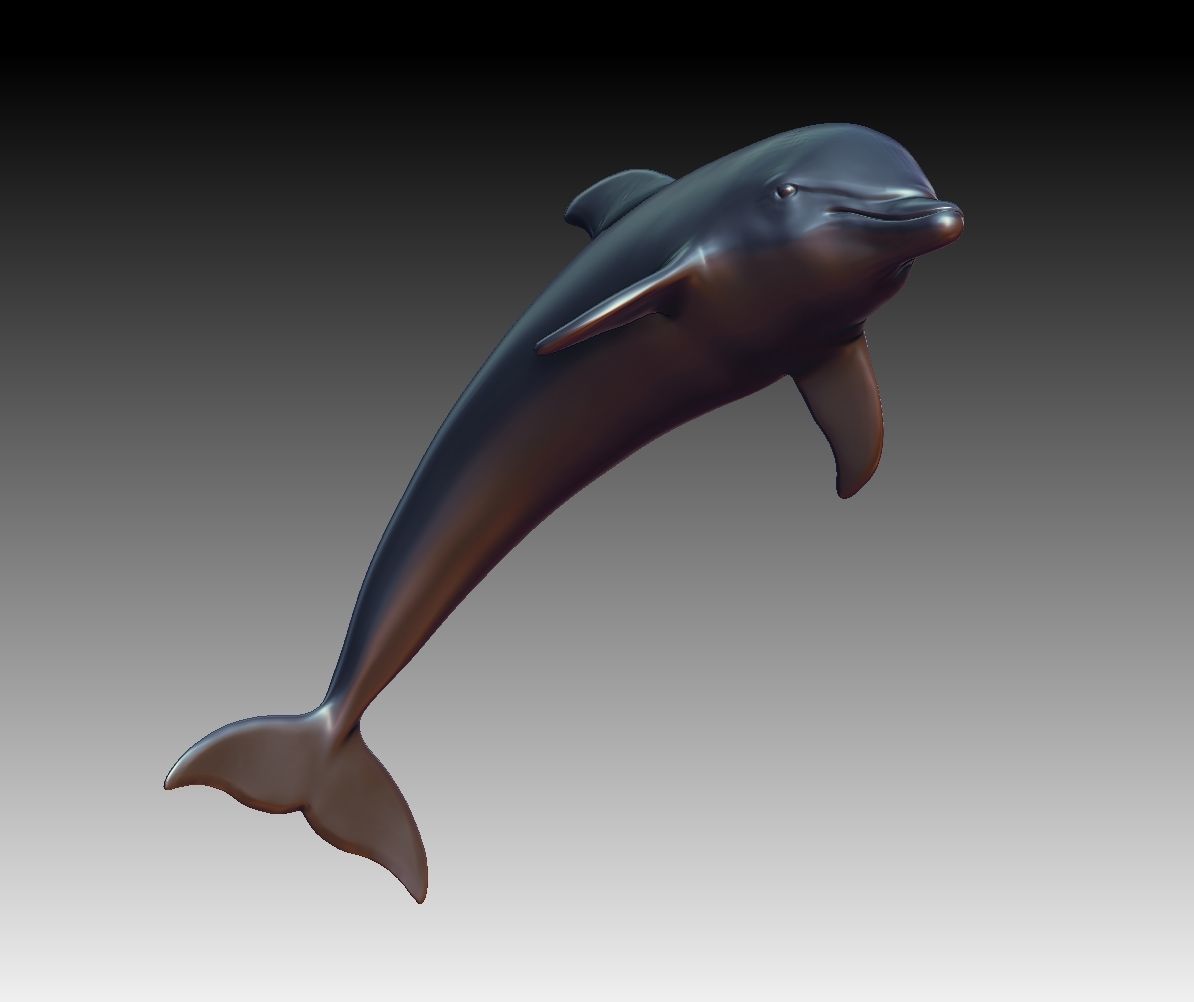 Dolphin 3D print model_7