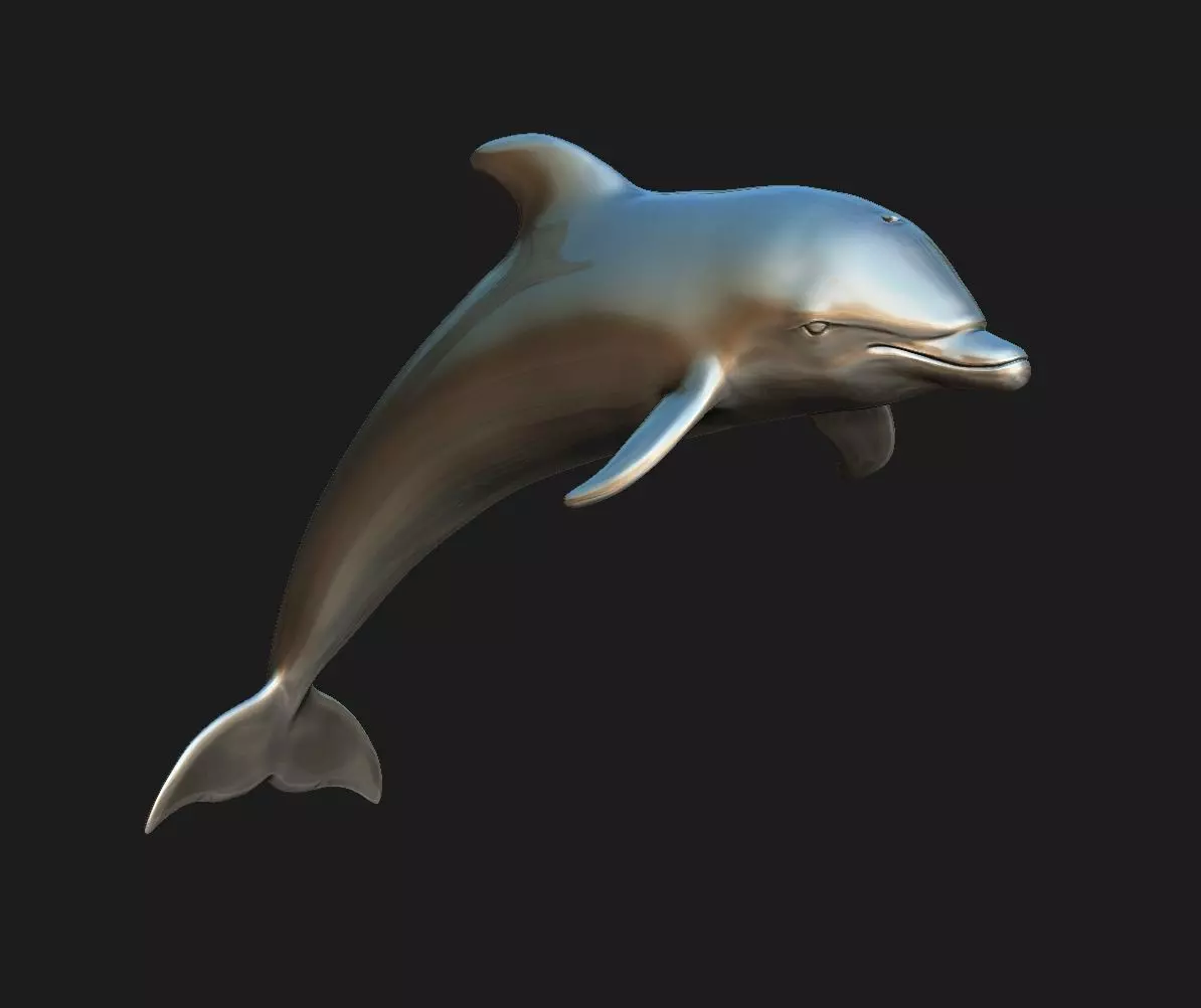 Dolphin 3D print model_0
