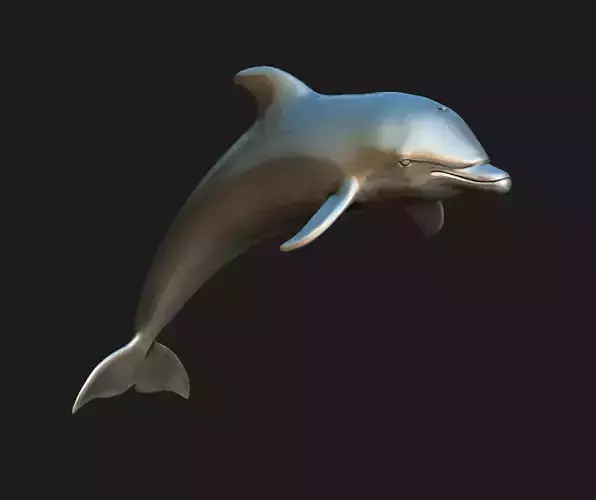Dolphin 3D print model